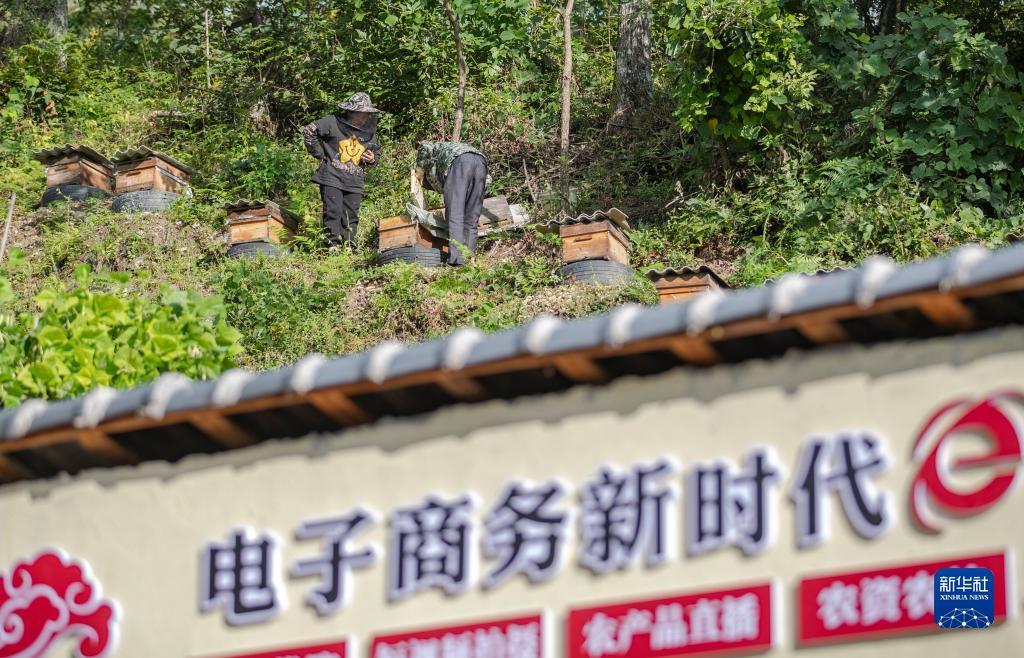 合乐888官网登陆